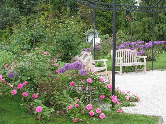 Okrasni luki in vrtnice