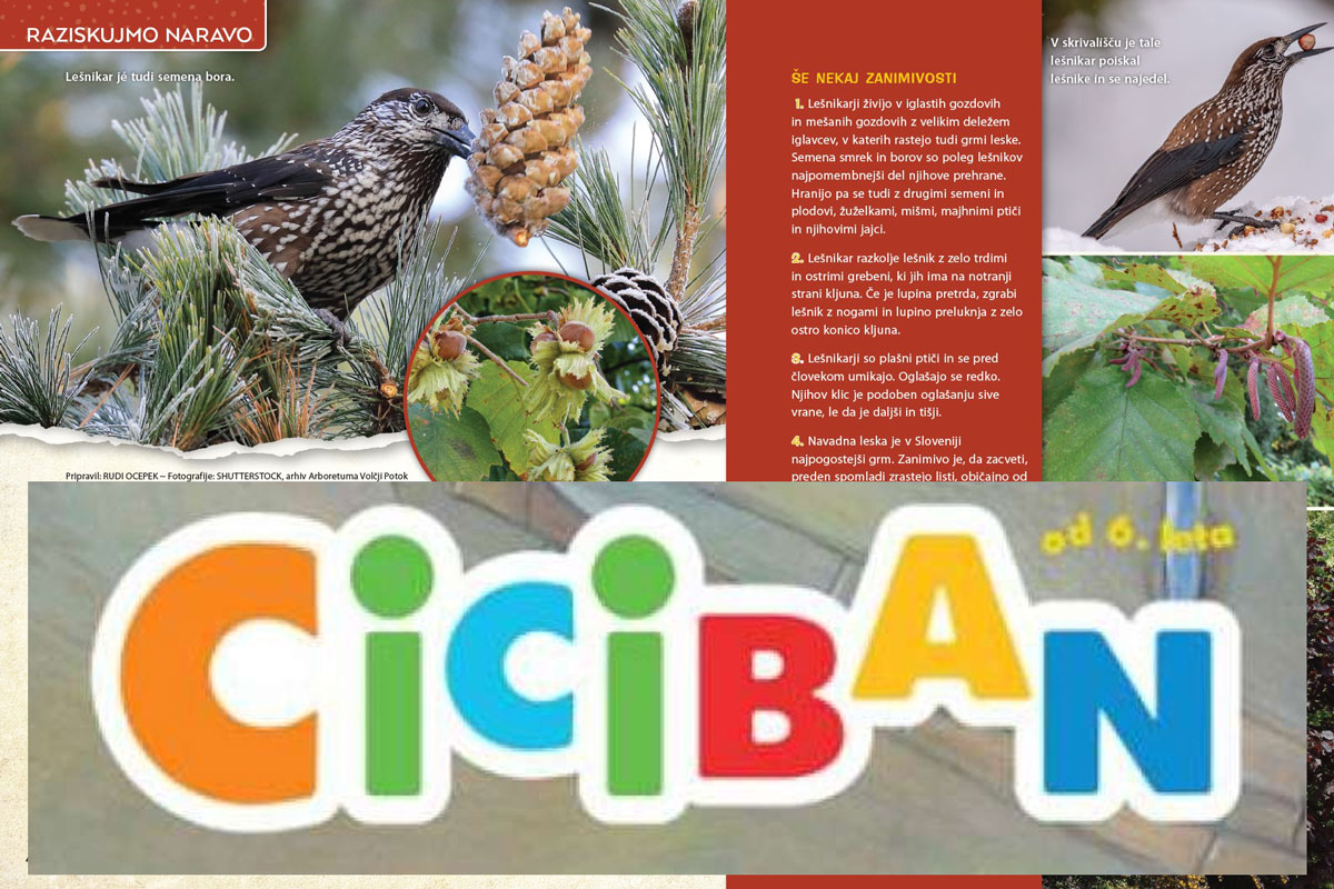 Revija Ciciban in Arboretum