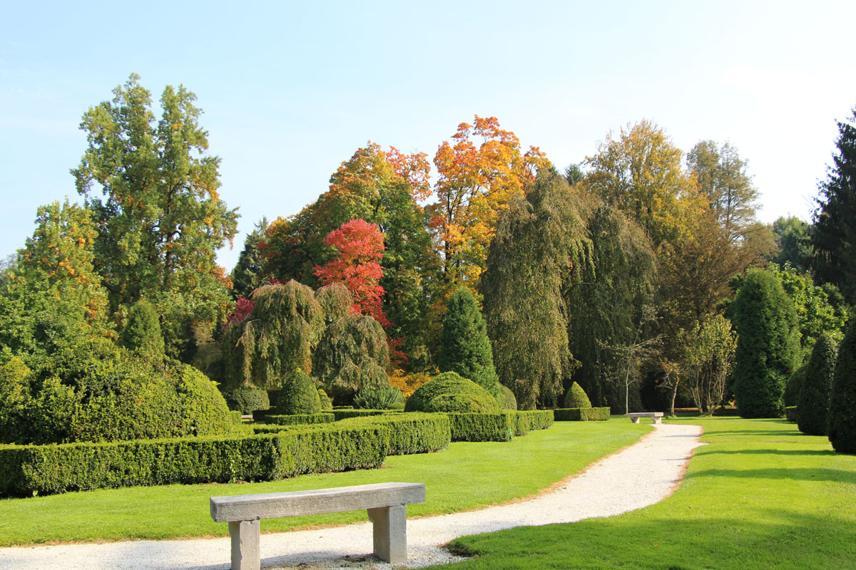 Jesen v Arboretumu Volčji Potok