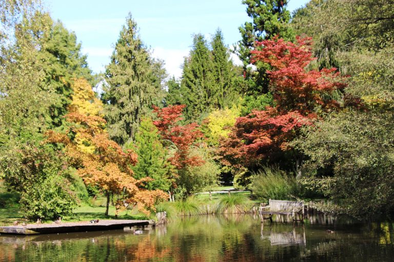 Arboretum Volčji Potok - poslanstvo