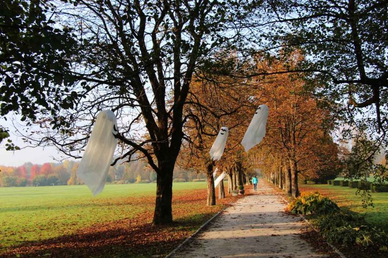 Začarani park