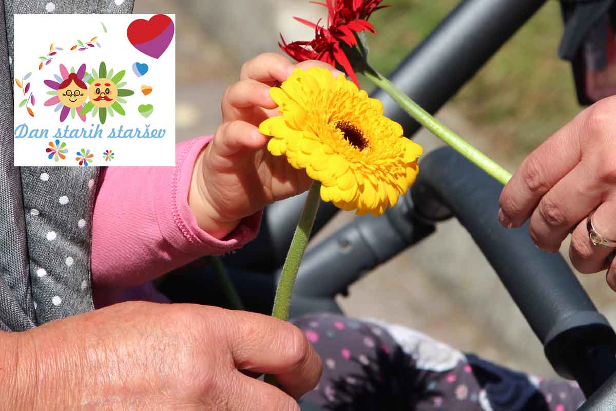 Dan starih staršev