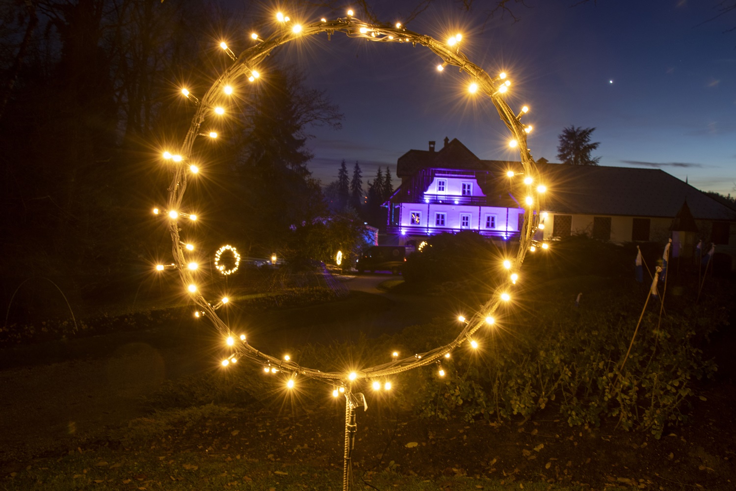 Virtualno vodenje v živo