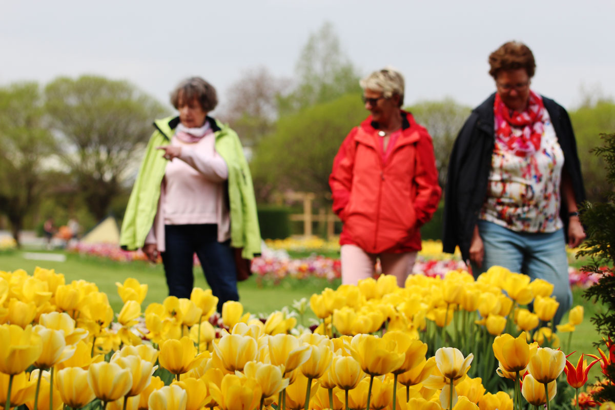 Obisk Arboretuma med Spomladansko razstavo cvetja in tulipanov - odgovori na pogosta vprašanja