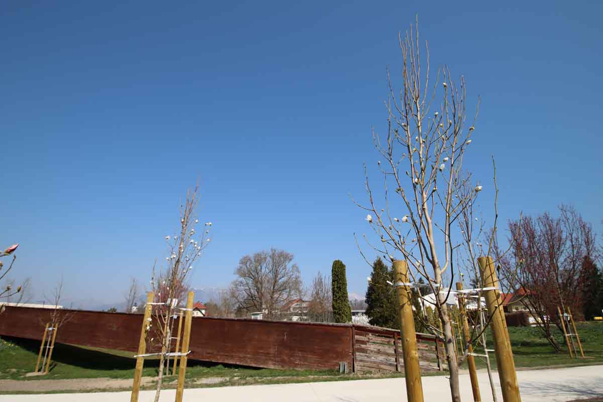 Strokovno izobraževanje Drevesa za prihodnost