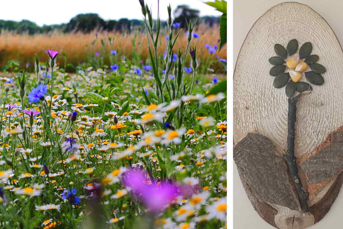 Otroška delavnica Zrcalo travnika