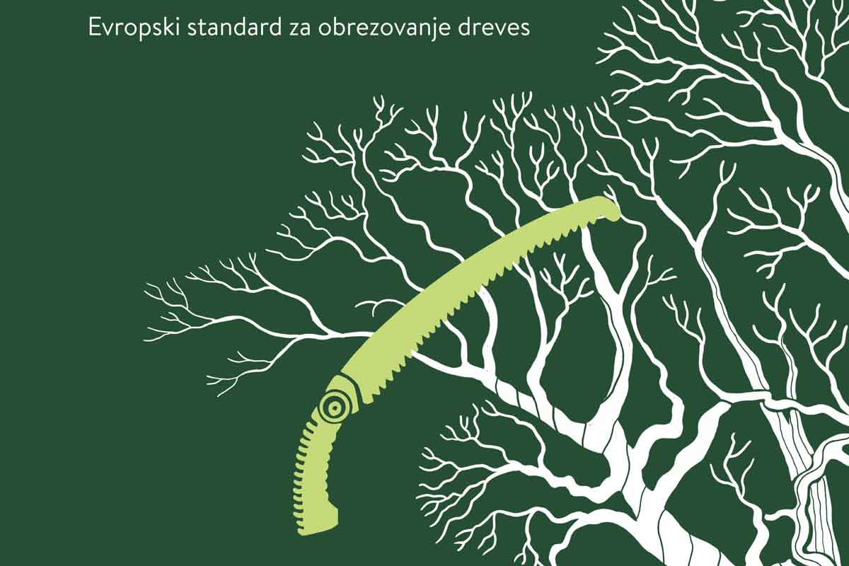 Prenovljen Evropski standard za obrezovanje dreves