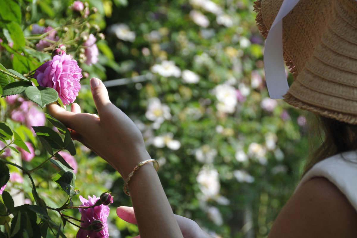 Slovenski dan vrtnic