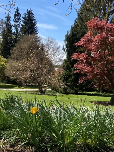 Andrea Mervar – A touch of yellow