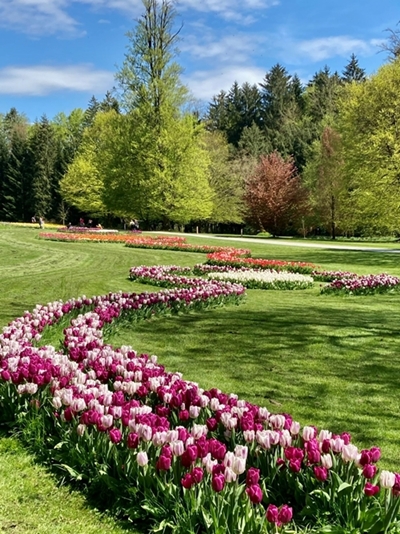 Andrea Mervar - Endless