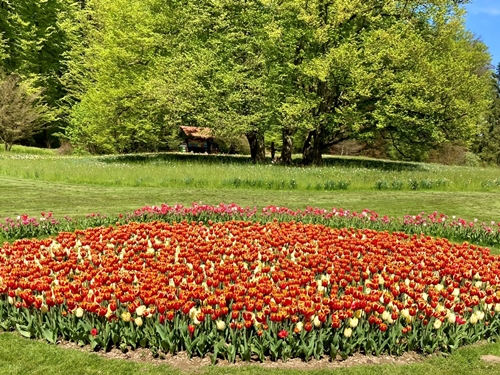 Andrea Mervar - Saturday afternoon