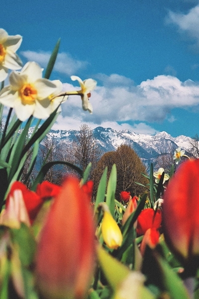 Bernarda Conič – Iz Zime v Pomlad