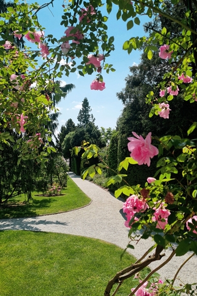 Bernarda Conič – Rajski vrt