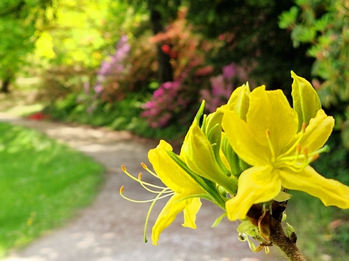 Bruna Vintar -Rajska potka