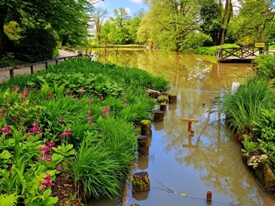 Bruna Vintar - Ribnik