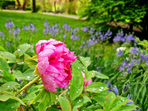 Bruna Vintar – V dežju