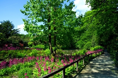 Diana Rostan – Ob sprehajalni poti