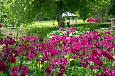 Diana Rostan – Očarljivo rožnata