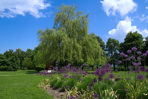 Diana Rostan – Pompozne bunkice