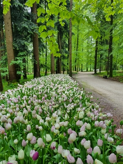 Elica Pavlič – Najlepše poti