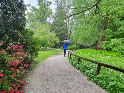 Elica Pavlič- Sprehod