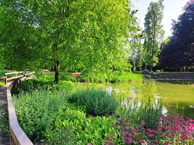 Laura Zalar – Ribnik