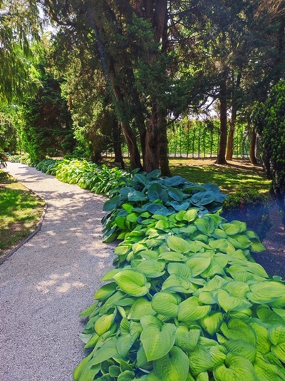 Laura Zalar – Zelena, ki te ljubim zeleno