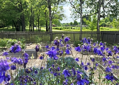 Špela Kragelj Bračko – Orlice