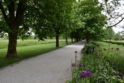 Tanja Letnar – Pot proti izhodu