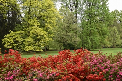 Tanja Letnar – V maju