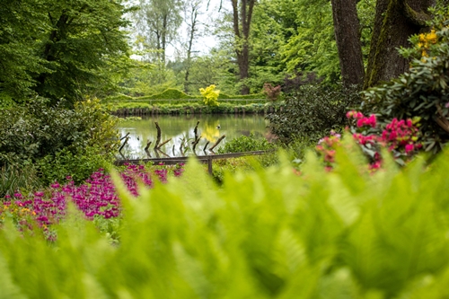 Tomaž Žnidarič – Jegliči