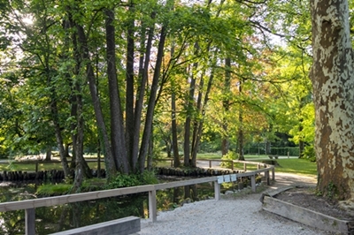 Tomaž Žnidarič – Jezero rdečega javorja