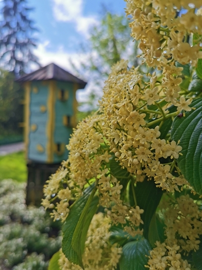 Urška Tavčar – Ob ptičji gnezdilnici