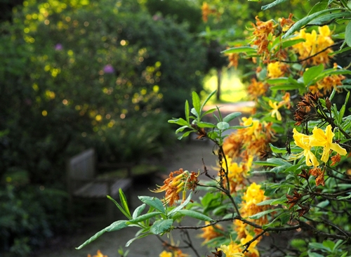 Vekoslav Rajh – Zavetje