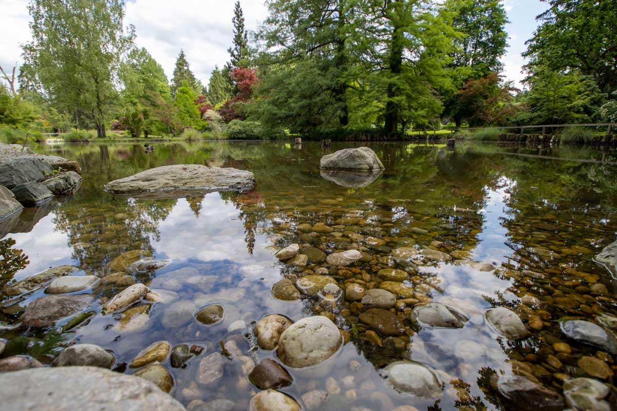 Foto natečaj Vodni motivi Arboretuma