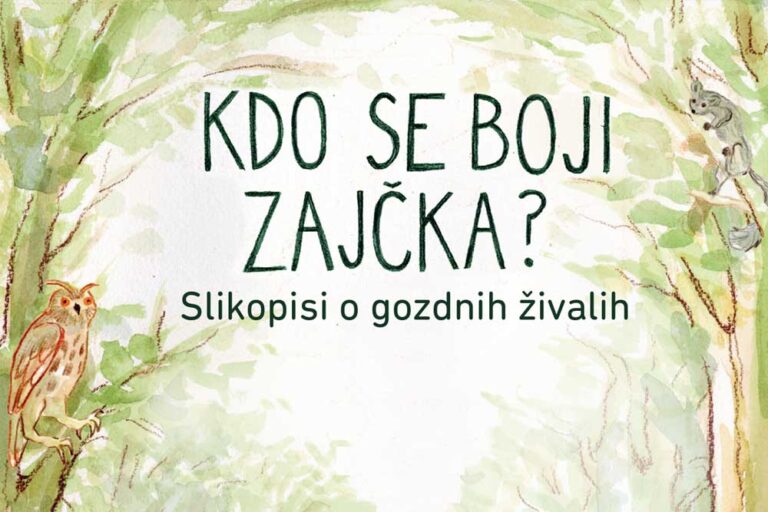 Kdo se boji zajčka?