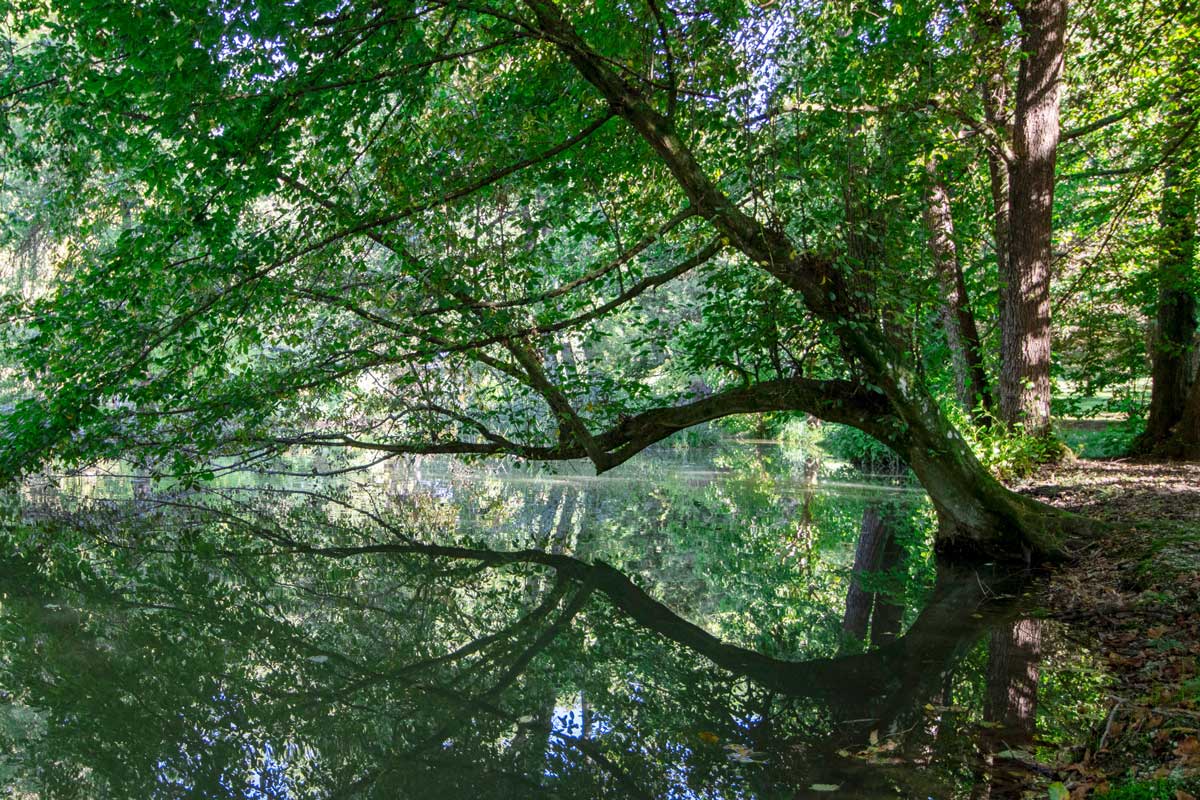 Foto natečaj Vodni motivi arboretuma