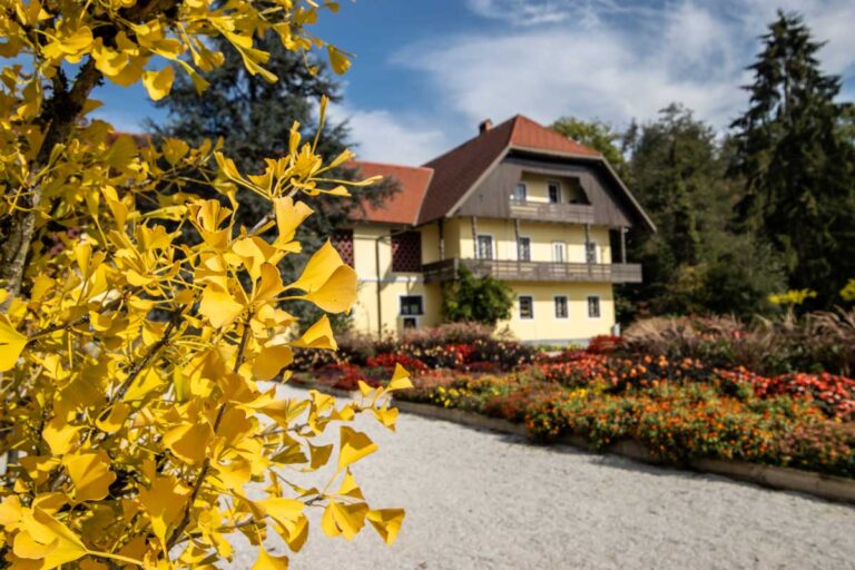 Fotografska delavnica Arhitekture v Arboretumu (Dnevi evropske kulturne dediščine)