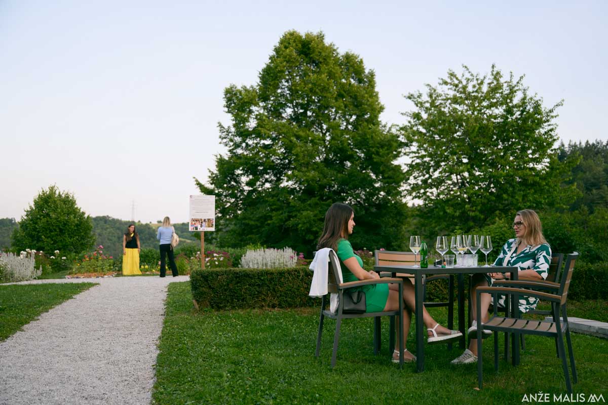 DSNV25-Bogenšperk1 DSNV25-Bogenšperk1