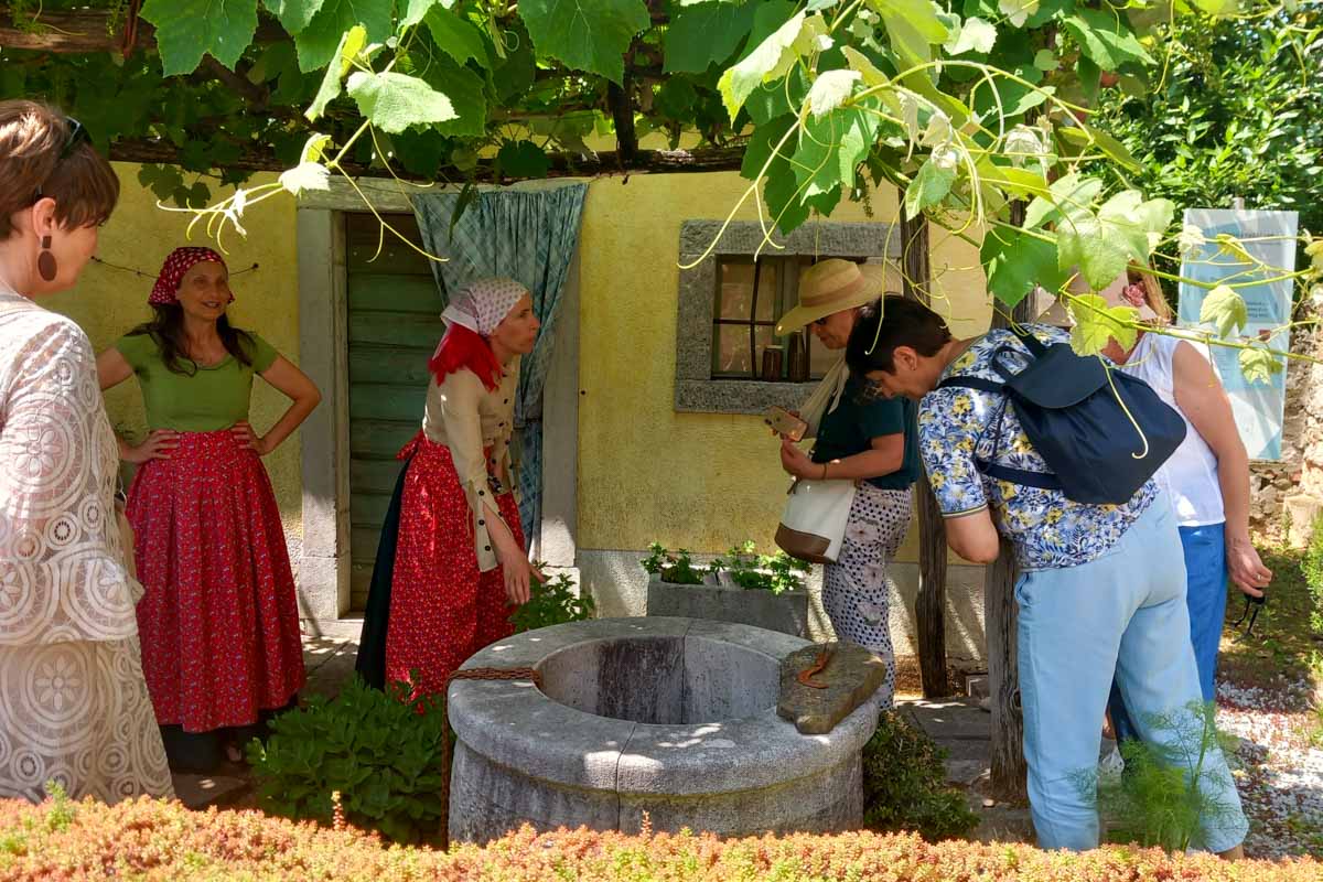 DSNV25-Celodnevni izlet po kraških vrtovih