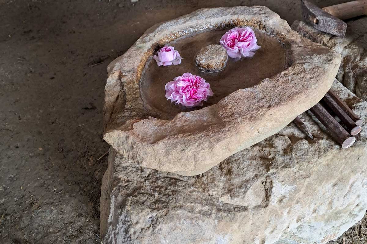 DSNV25-Muzej na prostem Rogatec1