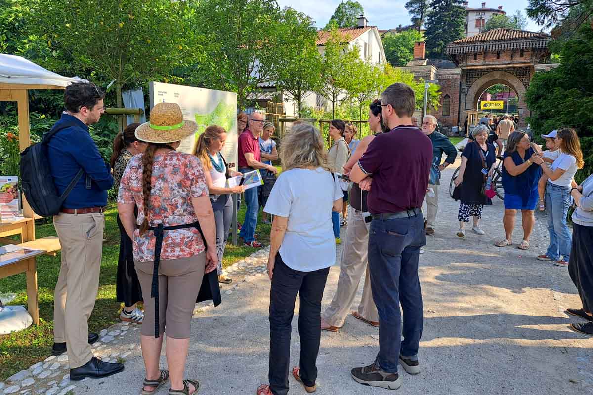 DSNV25-Rafutski park