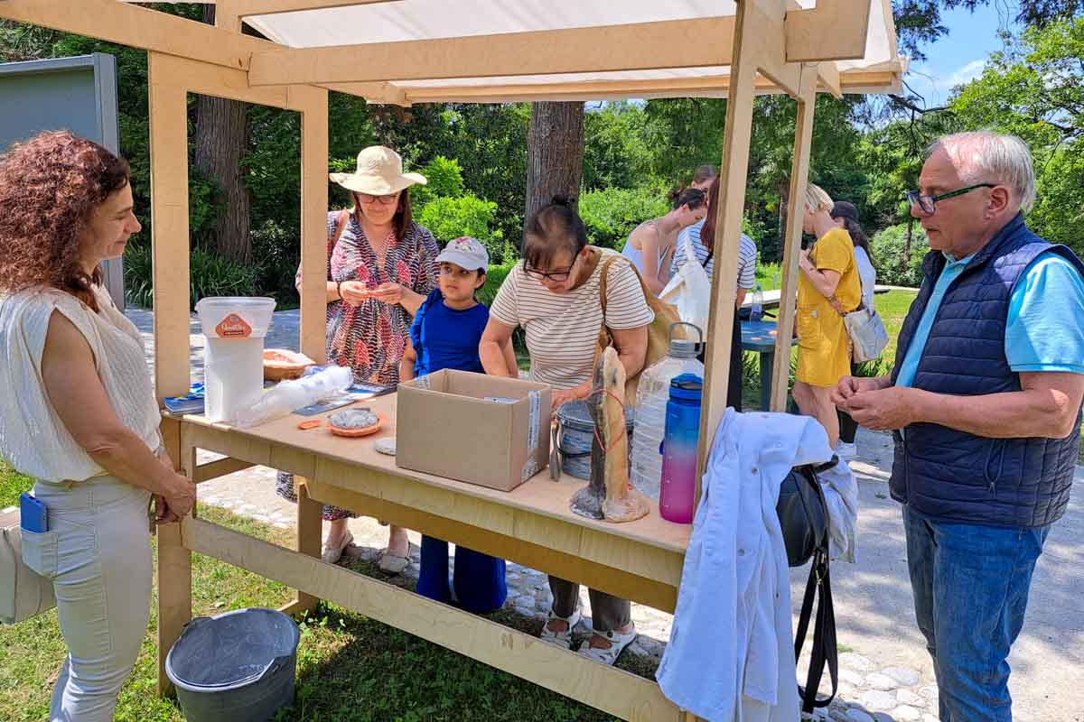 DSNV25-Rafutski park1