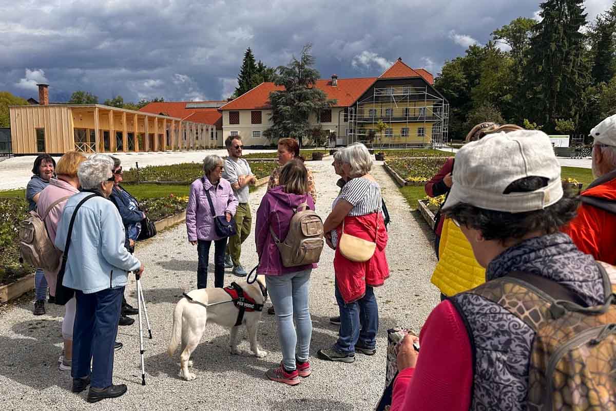 Modra palica, Fotografija: Ana Hribar