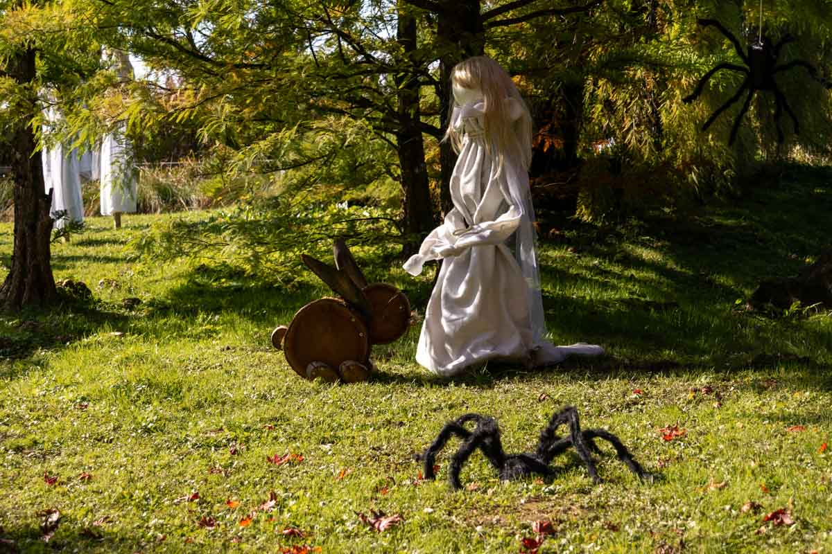 Bela žena in živali Bela žena in živali