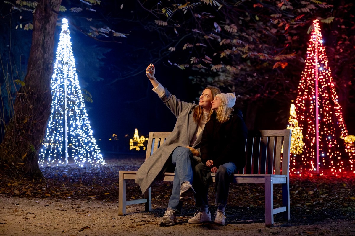 Večerni sprehod med lučkami Večerni sprehod med lučkami