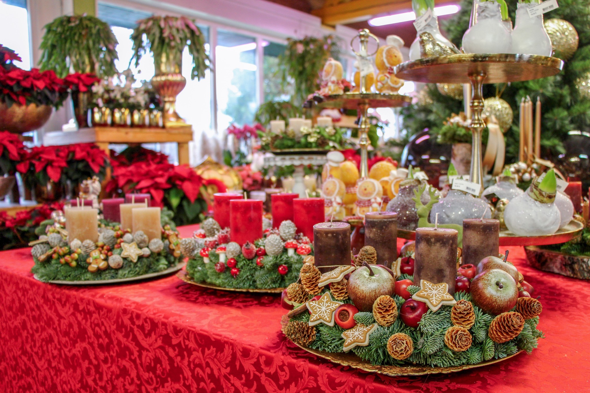 Adventne dekoracije v vrtnem centru