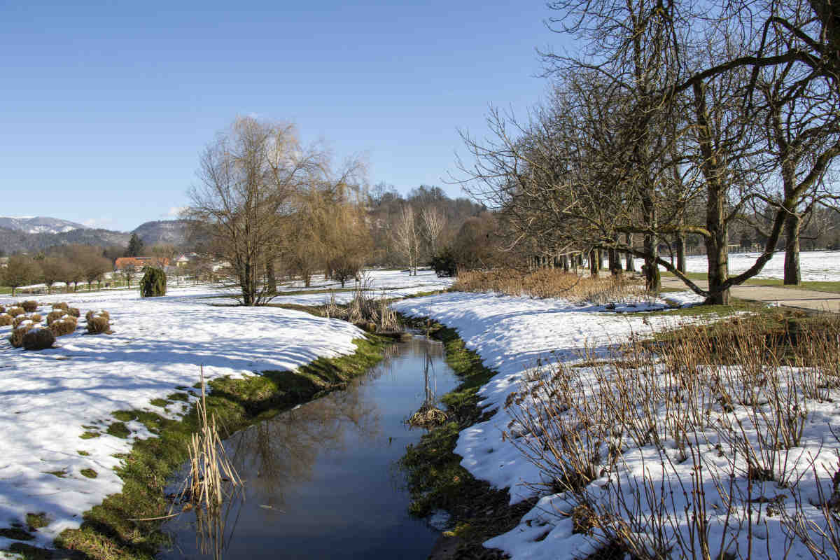 Sprehodi z Modro palico v Arboretumu Volčji Potok, zimski sprehod ob vodotoku na Poti za spomin