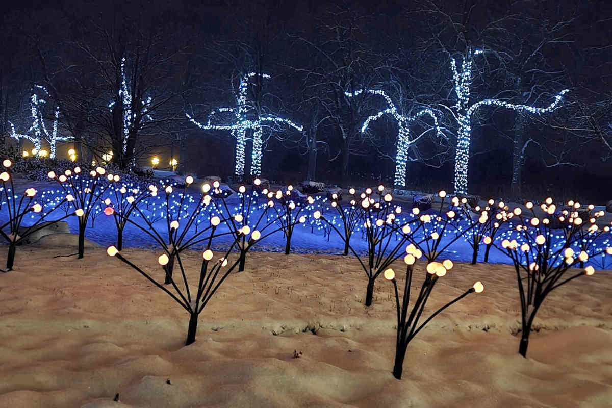 Svetlobne instalacije na zasneženem travniku in drevesa ovita v lučke v Arboretumu Volčji Potok