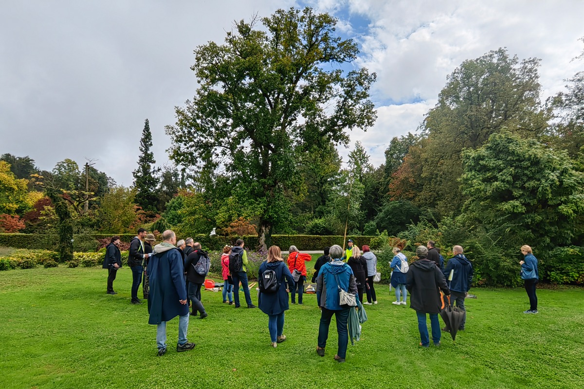 Podnebno odporne zelene površine